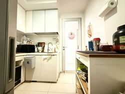 Oasis @ Elias (D18), Condominium #544924911